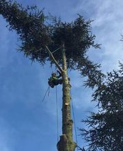 Prévost Sylvain image 1