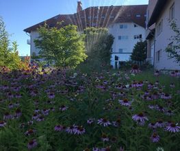 Bandscheibenklinik Gesingen Bild 1