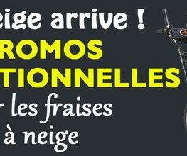 ETS Favier image 12