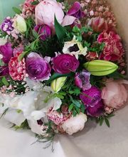 Reflets De Rosée image 1