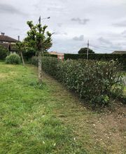 Philipot Sony image 4