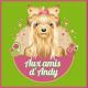 Aux Amis D Andy