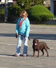 Pattounes & Cie image 10