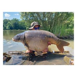 Etangs Nauticarp