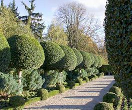 Au Vert Paysage image 1