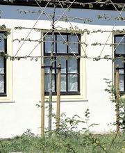 Verf en Behang sikkens dealer vof groters-adriolo afbeelding 2