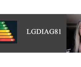 LGDIAG81 image 3