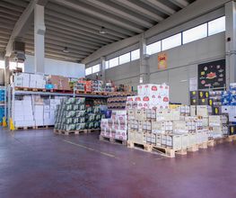 Gallery Professionale