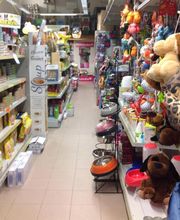 Gallery Cliente
