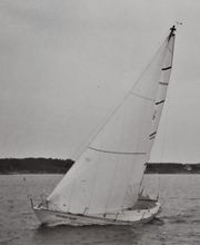 Nicolas Deguilhem image 9