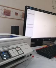 Gutfried Iris image 2