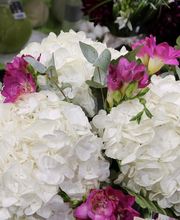 Fleurs Ô Naturel image 6