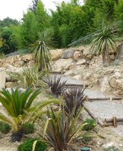 Landscape Terrassements image 4