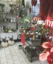 Schayen-Janssen Bild 20