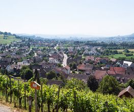 Zehnder Immobilien AG Bild 3