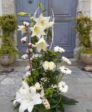 Maguyflor image 16