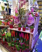 Fleurs en Abondance image 4