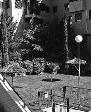 Jardinería FG imagen 15