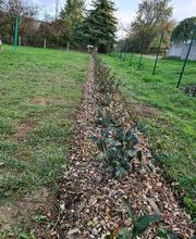 JULIEN LOTTE ESPACES VERTS image 13