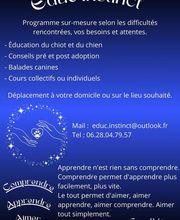 Éduc'Instinct image 7