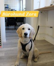 Pallaoro Pneushop & Garage GmbH - Premio Partner Bild 1