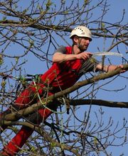 SEILTECHNIK LEESE Bild 2