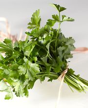 Ascher Catering Bild 7