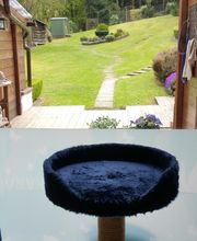 Pfötchen-Date Bild 1