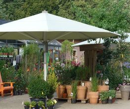 GartenBaumschule Schneider Bild 2