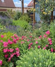 Gemeinde Dörfles-Esbach Bild 1