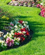 AquaT manutenzione piscine e giardini in Ticino Bild 5