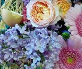 Marion les Fleurs image 5