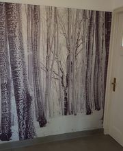 Goy Plâtrerie-Peinture Bild 3