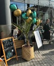 Cotidiano Lago Bild 6