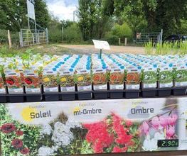 Dessapt Horticulture image 11
