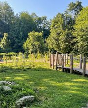 Obere Mühle Villmergen Bild 12