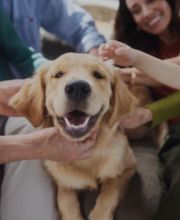 ETUDE FONTANA, avocats Bild 10