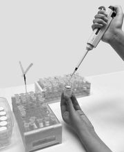 Le Studio des Parfums - Parfum sur mesure - Atelier de création - Parfum disparu image 12