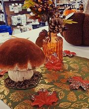 Jour de Fête image 15