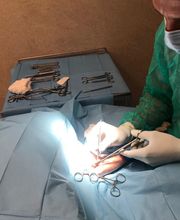 Clínica Veterinaria Roncal - Pilas imagen 19