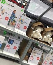 Orchestra PORNIC image 17