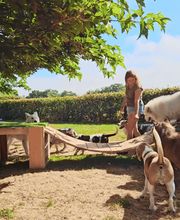 Le Domaine de Noisette image 5