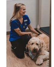 Caring Hands Animal Hospital - Alexandria image 2