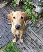 PATTE Z' EN CINQ - AURORE DI FELICE image 5