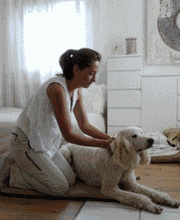 Hundephysiotherapie Touch for Dog Bild 2