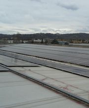 RENEWABLE ENERGY ADVISORS S.L. imagen 10