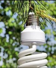 LC Pro Energies image 1