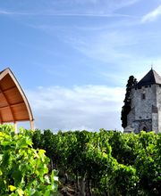 DM-ARCHITECTES DE MARCO image 5