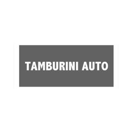 Tamburini Auto Concessionaria logo
