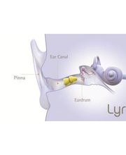 Ars Audition image 3